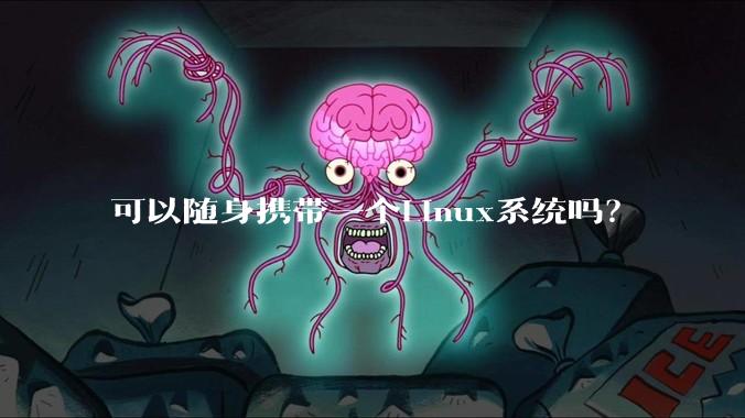 可以随身携带一个Linux系统吗？